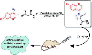 Graphical abstract: Organocatalytic synthesis and evaluation of 7-chloroquinoline-1,2,3-triazoyl carboxamides as potential antinociceptive, anti-inflammatory and anticonvulsant agent