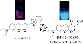 Graphical abstract: A ratiometric fluorescent probe for rapid and sensitive visualization of hypochlorite in living cells