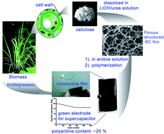 Graphical abstract: Evolution of cellulose into flexible conductive green electronics: a smart strategy to fabricate sustainable electrodes for supercapacitors