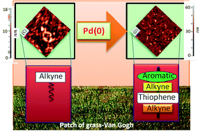 Graphical abstract: Nanoscale functionalization of surfaces by graft-through Sonogashira polymerization