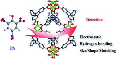 Graphical abstract: A metal–organic framework with a 9-phenylcarbazole moiety as a fluorescent tag for picric acid explosive detection: collaboration of electron transfer, hydrogen bonding and size matching