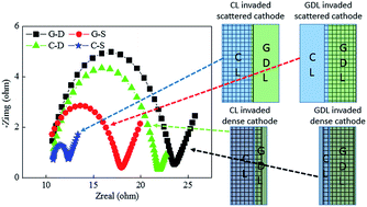 Graphical abstract: A novel and high performance activated carbon air-cathode with decreased volume density and catalyst layer invasion for microbial fuel cells