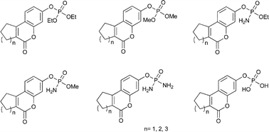 Graphical abstract: Phosphate tricyclic coumarin analogs as steroid sulfatase inhibitors: synthesis and biological activity