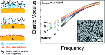 Graphical abstract: Tuning mechanical properties of nanocomposites with bimodal polymer bound layers