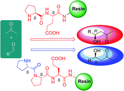 Graphical abstract: Reversal of the enantioselectivity in aldol addition over immobilized di- and tripeptides: studies under continuous flow conditions