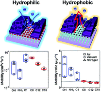 Graphical abstract: Built-in water resistance in organic transistors modified with self-assembled monolayers