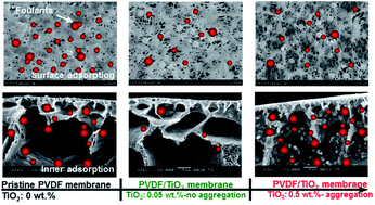 Graphical abstract: Antifouling behaviours of PVDF/nano-TiO2 composite membranes revealed by surface energetics and quartz crystal microbalance monitoring