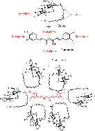 Graphical abstract: From micron to nano-curcumin by sophorolipid co-processing: highly enhanced bioavailability, fluorescence, and anti-cancer efficacy