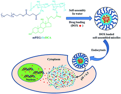 Graphical abstract: Novel self-assembled amphiphilic mPEGylated starch-deoxycholic acid polymeric micelles with pH-response for anticancer drug delivery