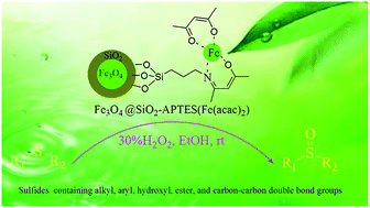 Graphical abstract: A magnetic supported iron complex for selective oxidation of sulfides to sulfoxides using 30% hydrogen peroxide at room temperature