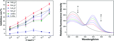 Graphical abstract: Antitumor activity and DNA binding studies on rare earth metal complexes with all-trans retinoic acid and l-glutamic acid