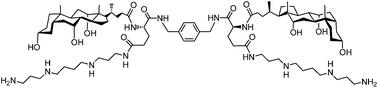 Graphical abstract: Toward transmembrane anionophores based on rigid bis(choloyl) conjugates: reversal of the ion selectivity by appended polyamines