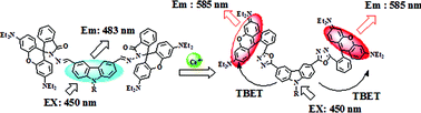 Graphical abstract: Rapid and ratiometric sensor for CAN (Ce4+) through metal assisted oxidation reaction-altered through bond energy transfer (TBET): development of low cost devices (TLC plate sticks)