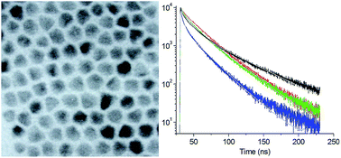 Graphical abstract: Effect of Cd0.5Zn0.5S shells on temperature-dependent luminescence kinetics of CdSe quantum dots