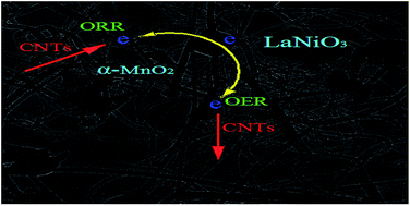 Graphical abstract: A bifunctional electrocatalyst α-MnO2-LaNiO3/carbon nanotube composite for rechargeable zinc–air batteries