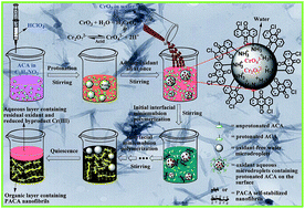Graphical abstract: Intrinsically conducting polyaminoanthraquinone nanofibrils: interfacial synthesis, formation mechanism and lead adsorbents