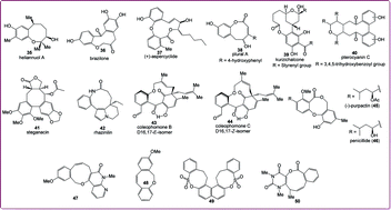 Graphical abstract: Importance and synthesis of benzannulated medium-sized and macrocyclic rings (BMRs)