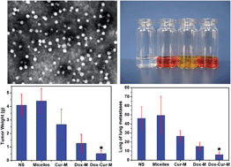 Graphical abstract: Co-delivery of doxorubicin and curcumin by polymeric micelles for improving antitumor efficacy on breast carcinoma