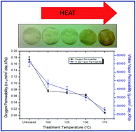 Graphical abstract: Thermally enhanced high performance cellulose nano fibril barrier membranes