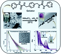 Graphical abstract: Synthesis of gold nanoparticles and nanoclusters in a supramolecular gel and their applications in catalytic reduction of p-nitrophenol to p-aminophenol and Hg(ii) sensing