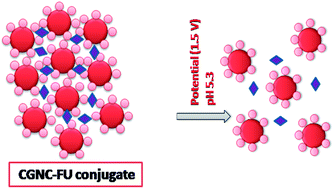 Graphical abstract: An electric field responsive drug delivery system based on chitosan–gold nanocomposites for site specific and controlled delivery of 5-fluorouracil