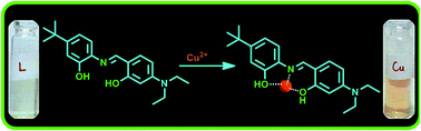 Graphical abstract: A novel colorimetric and fluorogenic chemosensor for selective detection of Cu2+ ions in mixed aqueous media