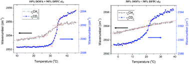 Graphical abstract: Molecular-level pictures of the phase transitions of saturated and unsaturated phospholipid binary mixtures