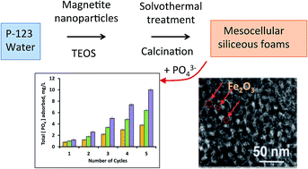 Graphical abstract: In situ synthesis of phosphate binding mesocellular siliceous foams impregnated with iron oxide nanoparticles