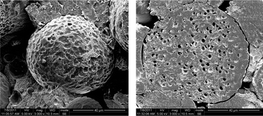 Graphical abstract: Unique interfacial and confined porous morphology of PLA/PS blends in supercritical carbon dioxide