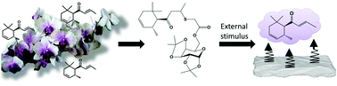 Graphical abstract: Controlled fragrance release from galactose-based pro-fragrances