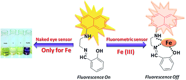 Graphical abstract: A novel probe for selective colorimetric sensing of Fe(ii) and Fe(iii) and specific fluorometric sensing of Fe(iii): DFT calculation and logic gate application