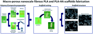 Graphical abstract: Macroporous and nanometre scale fibrous PLA and PLA–HA composite scaffolds fabricated by a bio safe strategy