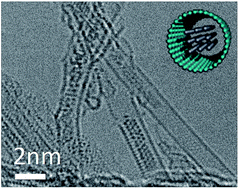Graphical abstract: Molybdenum-encapsulation modified the optical property of single walled carbon nanotubes