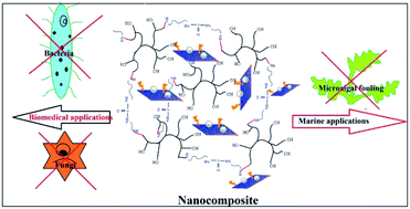 Graphical abstract: Biocompatible hyperbranched epoxy/silver–reduced graphene oxide–curcumin nanocomposite as an advanced antimicrobial material