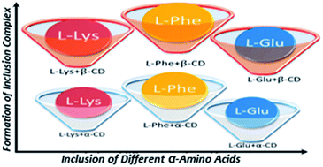 Graphical abstract: Host–guest inclusion complexes of α and β-cyclodextrins with α-amino acids