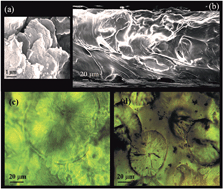 Graphical abstract: High performance solid polymer electrolyte with graphene oxide nanosheets