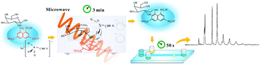 Graphical abstract: Microwave-assisted derivatization for fast and efficient analysis of saccharides on disposable microchips