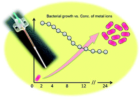 Graphical abstract: Combining microdialysis sampling and inductively coupled plasma mass spectrometry for dynamic monitoring of trace metal ions during bacterial growth periods