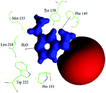 Graphical abstract: Charge density distribution and electrostatic interactions of ethionamide: an inhibitor of the enoyl acyl carrier protein reductase (inhA) enzyme of Mycobacterium tuberculosis