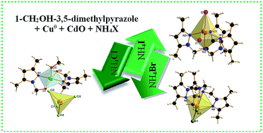 Graphical abstract: An efficient process to directly convert 1-hydroxymethyl-3,5-dimethylpyrazole to Cd(ii) complexes via C–N bond creation: cytotoxicity and factors controlling the structures