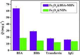 Graphical abstract: Specific removal of protein using protein imprinted polydopamine shells on modified amino-functionalized magnetic nanoparticles