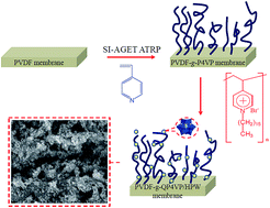 Graphical abstract: Electrostatic assembled of Keggin-type polyoxometalates onto poly(4-vinylpyridine)-grafted poly(vinylidene fluoride) membranes
