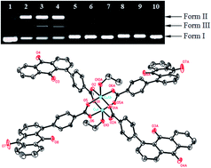 Graphical abstract: Dinuclear Cd(ii), Mn(ii) and Cu(ii) complexes derived from (anthraquinone-1-diyl) benzoate: DNA binding and cleavage studies