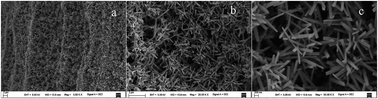 Graphical abstract: In situ anodic growth of rod-like TiO2 coating on a Ti wire as a selective solid-phase microextraction fiber