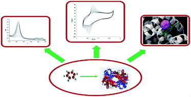 Graphical abstract: Electrochemistry and molecular modeling of the hemoglobin–benzene interaction with a nanocrystalline mixed metal oxide