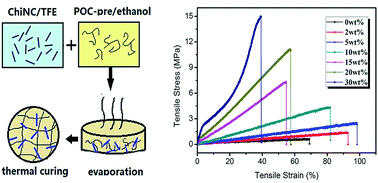 Graphical abstract: Regulating the mechanical properties of poly(1,8-octanediol citrate) bioelastomer via loading of chitin nanocrystals