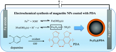 Graphical abstract: One-pot electrochemical synthesis of polydopamine coated magnetite nanoparticles