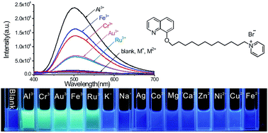 Graphical abstract: A quinoline-functionalized amphiphilic fluorogenic probe for specific detection of trivalent cations