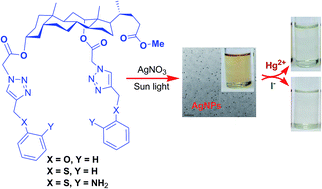 Graphical abstract: Dual colorimetric sensing of mercury and iodide ions by steroidal 1,2,3-triazole-stabilized silver nanoparticles