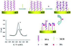 Graphical abstract: A simple label-free electrochemical aptasensor for dopamine detection